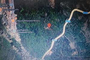 Casa nel bosco vista mare