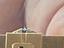 Immagine 5