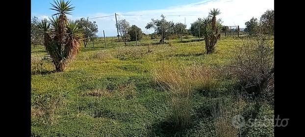 Terreno provincia di Siracusa periferia carlentini