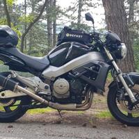 Honda cb 1100 x-eleven 