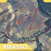 terreno-agricolo-grottole-strada-provinciale-grott