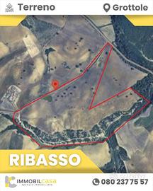 terreno-agricolo-grottole-strada-provinciale-grott
