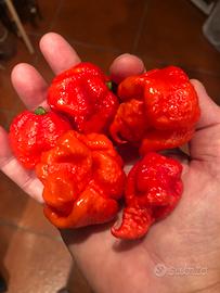 Carolina  super piccante