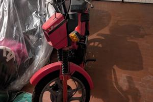 Motorino Atala master