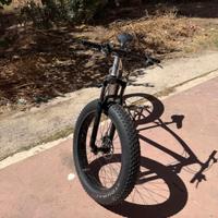 Fat bike