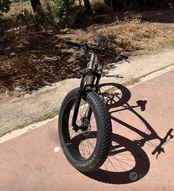 Fat bike