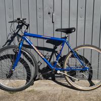 Bella bici mtb "conquestin 26"
