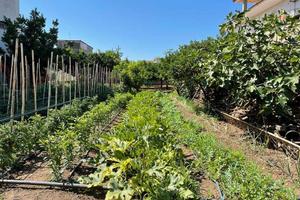 Terreno di 1000 m² a Mondragone