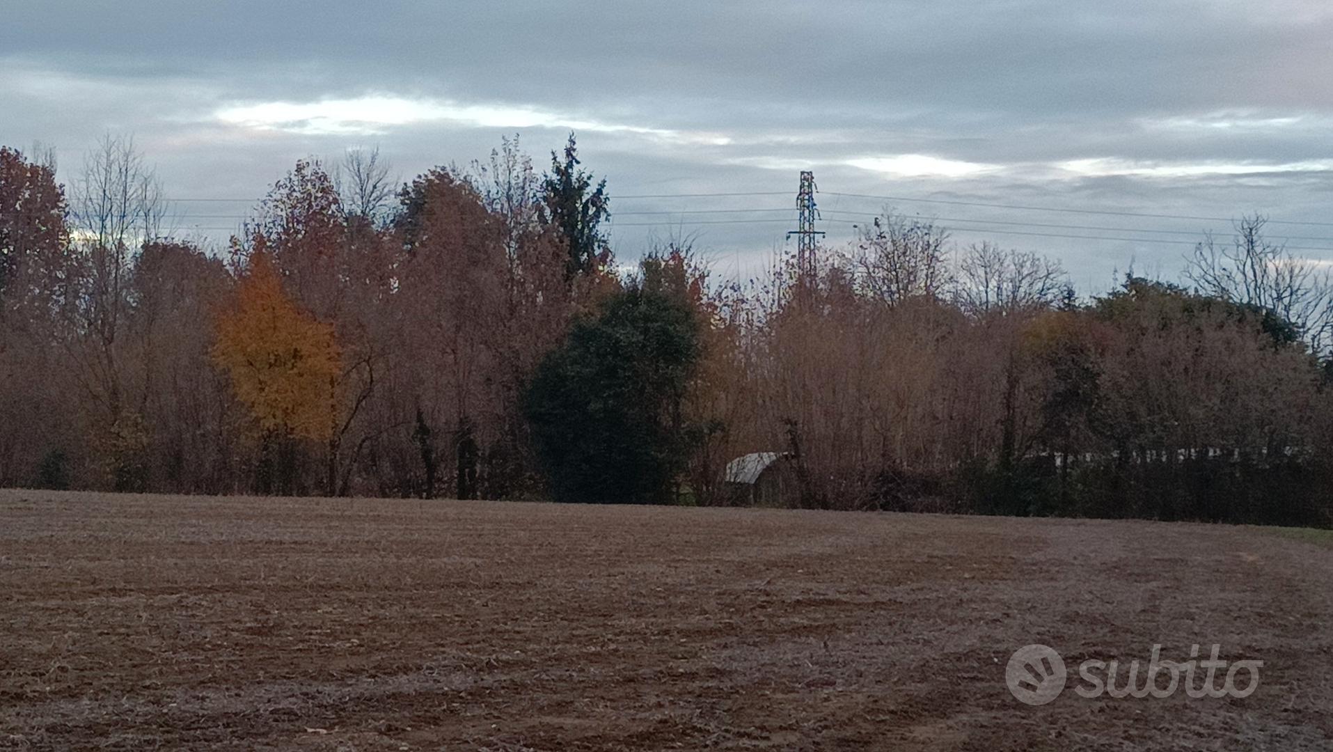 terreno agricolo - Vista 3