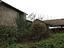Immagine 9