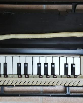 Bontempi Diamonica