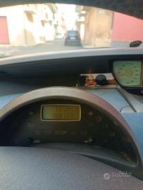 Lancia phedra