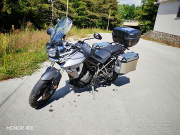 TRIUMPH TIGER 800 XRT 2019