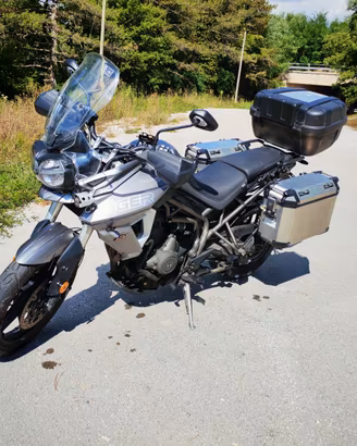 TRIUMPH TIGER 800 XRT 2019