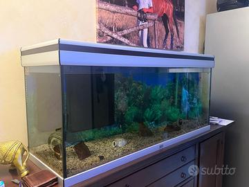 Acquario 180 litri