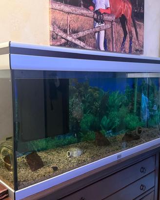 Acquario 180 litri