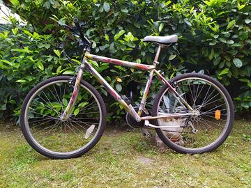 Bicicletta MTB da ragazzo