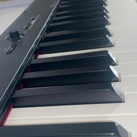 Casio CDP-S110 - Pianoforte Digitale 88 Tasti Pesa