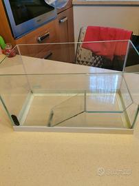 acqua terrario tartarughiera 