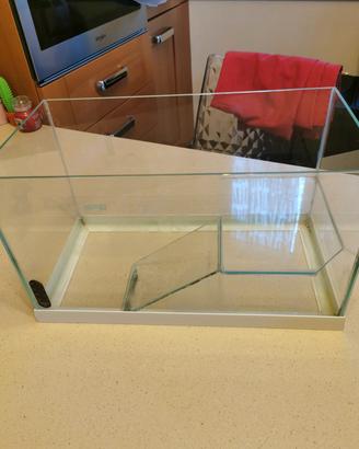 acqua terrario tartarughiera 