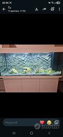 Acquario Juwel rio 240