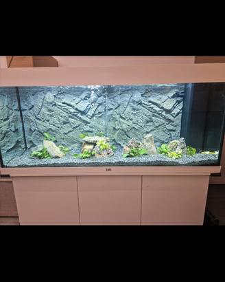Acquario Juwel rio 240