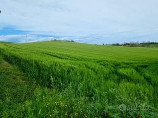 Terreno - Fermo