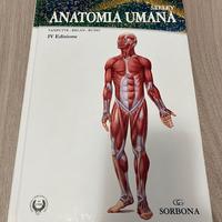 Anatomia Umana - SEELEY IV Edizione