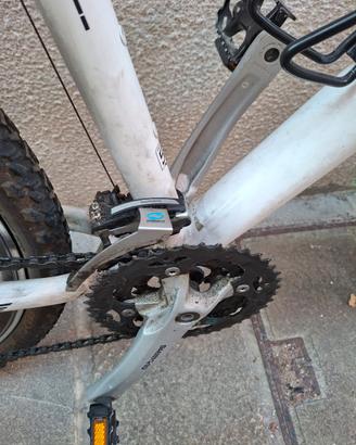 mtb carver 26'