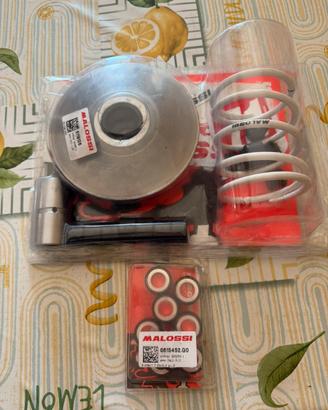 Variatore malossi Beverly 400 hpe