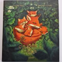 Albo illustrato rilegato grande formato.