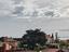 Immagine 7