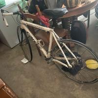 Bici da Corsa - Carver Evolution