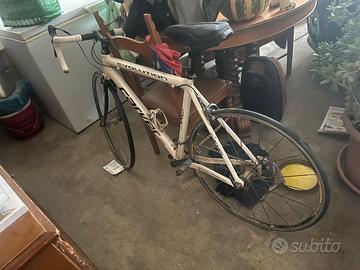 Bici da Corsa - Carver Evolution