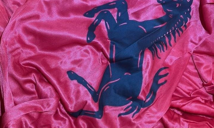 Telo copriauto cover da interno Ferrari Portofino