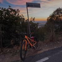 atala whellie bike