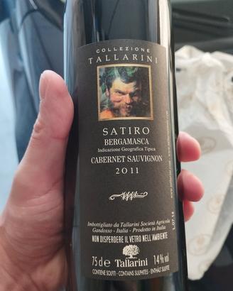 Vino rosso Satiro 2011 cantina Tallarini