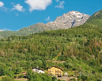 LAST MINUTE AGOSTO in centro alla valle d'Aosta 