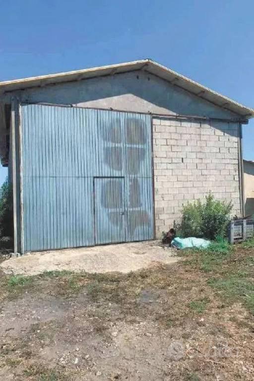 Immobile in asta di 289311 m² a Codigoro - Vista 4