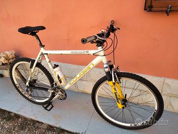 Bici Lee Cougan 26'