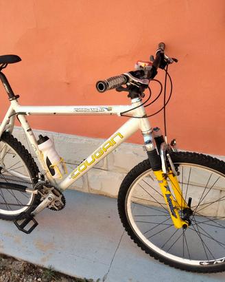 Bici Lee Cougan 26'