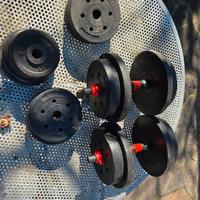 coppia di manubri con pesi vari