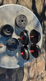 coppia di manubri con pesi vari