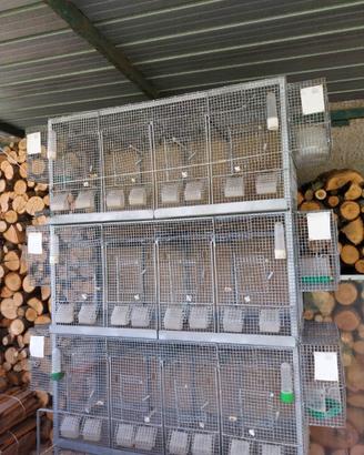 Voliera per canarini