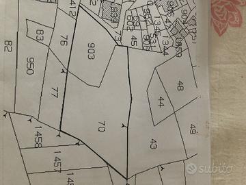 Terreno acquicella pietratagliata (AMANTEA) (CS)