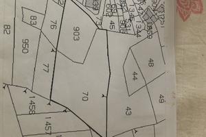 Terreno acquicella pietratagliata (AMANTEA) (CS)