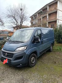 Fiat Duca L1 H1