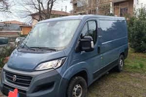 Fiat Duca L1 H1