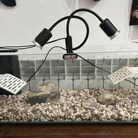 Acquario 110L completo x tartaruga + filtro + luce