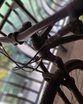 Mtb Trek proCaliber